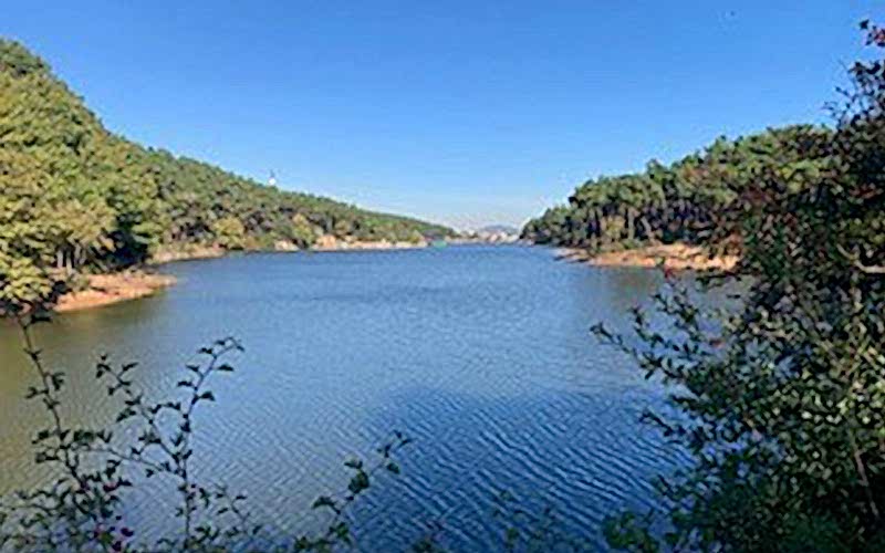 AYDOS ORMANI SPORTİF DOĞA YÜRÜYÜŞÜ