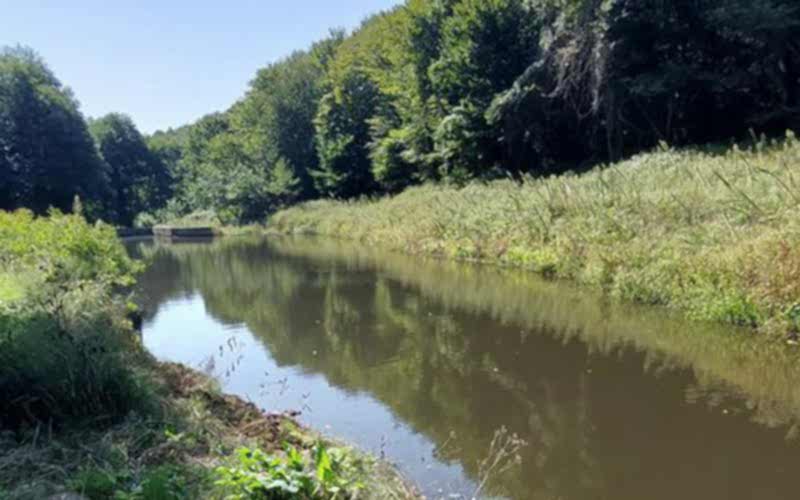 ÇATALCA BİNKILIÇ KÖYÜ DOĞA YÜRÜYÜŞÜ