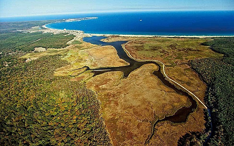 İĞNEADA LONGOZ ORMANLARI DOĞA YÜRÜYÜŞÜ