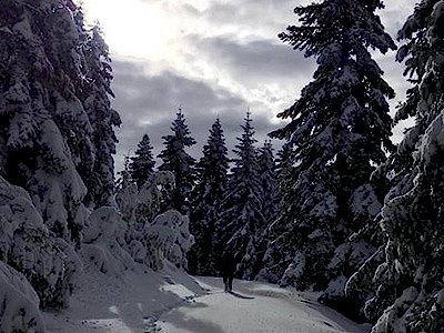 KILIÇKAYA ZİRVESİ VE GÖZETLEME KULESİ KAR YÜRÜYÜŞÜ