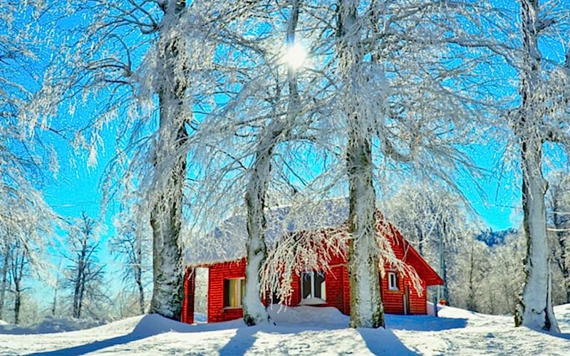 KUZUYAYLA KAR YÜRÜYÜŞÜ