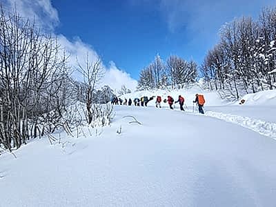 KUZUYAYLA KAR YÜRÜYÜŞÜ