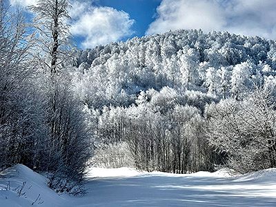 KUZUYAYLA KAR YÜRÜYÜŞÜ