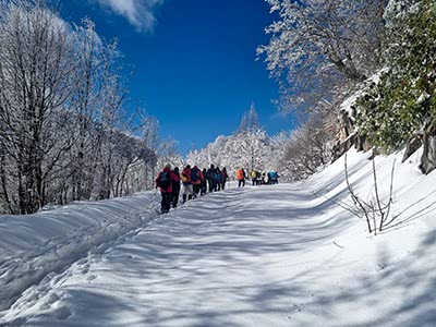 KUZUYAYLA KAR YÜRÜYÜŞÜ