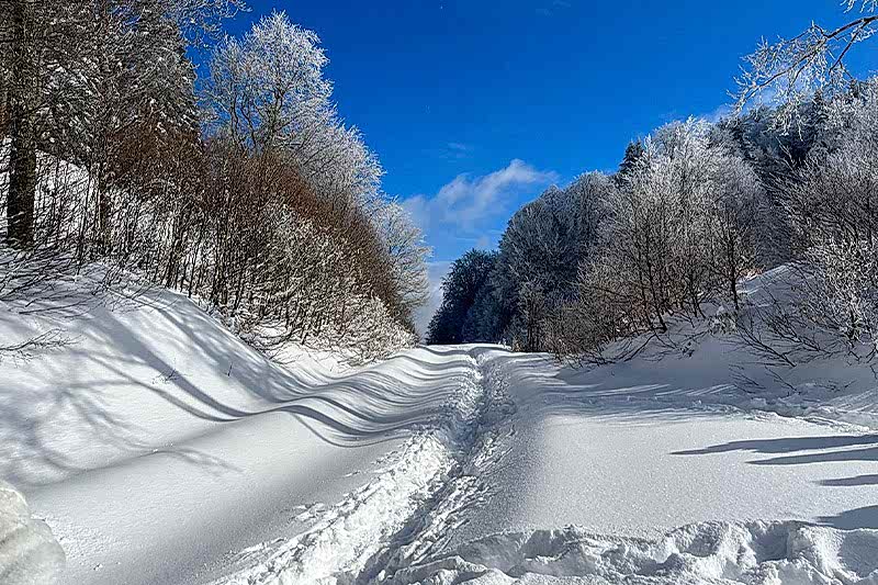 KUZUYAYLA KAR YÜRÜYÜŞÜ