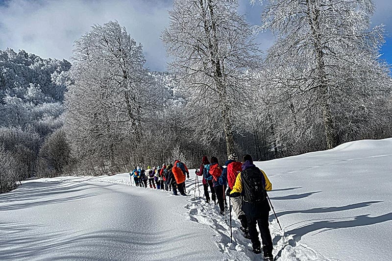 KUZUYAYLA KAR YÜRÜYÜŞÜ
