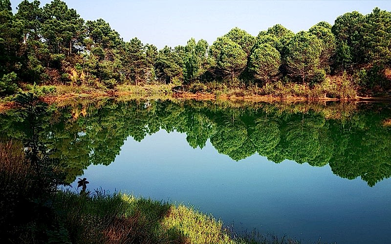 MAVRAMOLOZ ORMANI DOĞA YÜRÜYÜŞÜ
