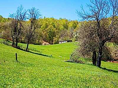 AYTEPE-MENEKŞE YAYLASI DOĞA YÜRÜYÜŞÜ