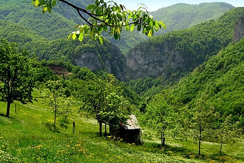 AYTEPE-MENEKŞE YAYLASI DOĞA YÜRÜYÜŞÜ