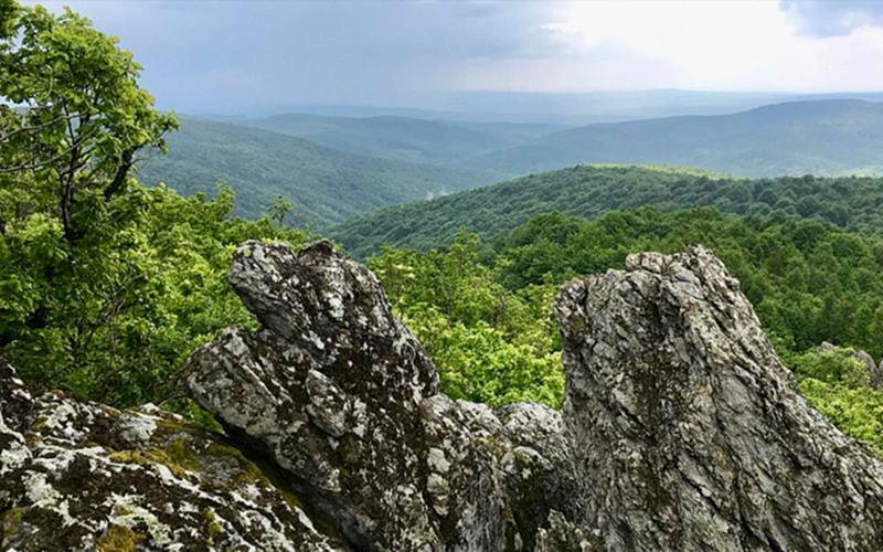 MONOPETRA KAYALIKLARI VE ŞELALELERİ DOĞA YÜRÜYÜŞÜ