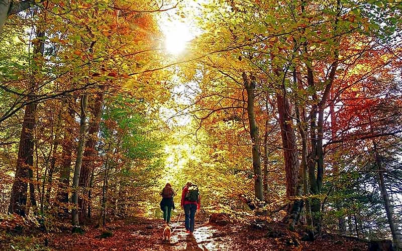 SARIKAVAK KALESİ DOĞA YÜRÜYÜŞÜ