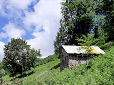 K2 ZİRVE ve KAYAÜSTÜ YAYLARI YÜRÜYÜŞÜ