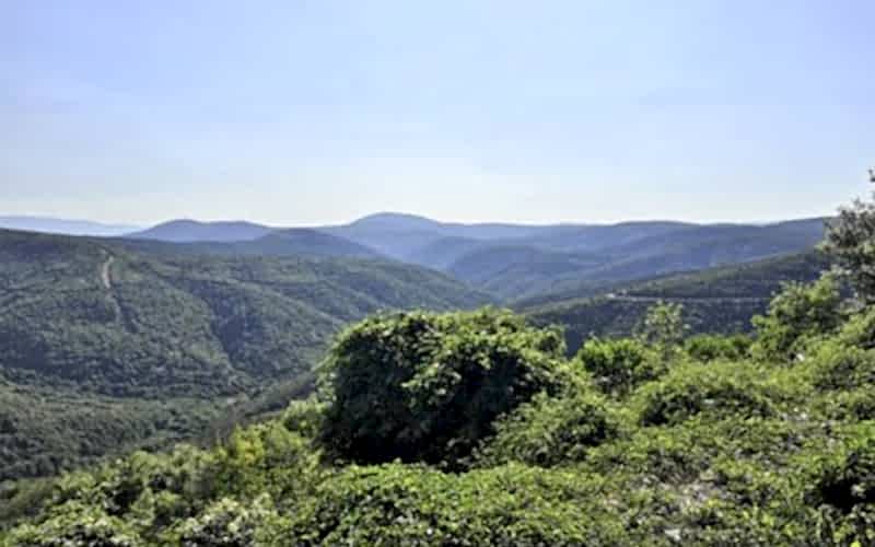 UMUTTEPE-ÇINARLIDERE DOĞA YÜRÜYÜŞÜ
