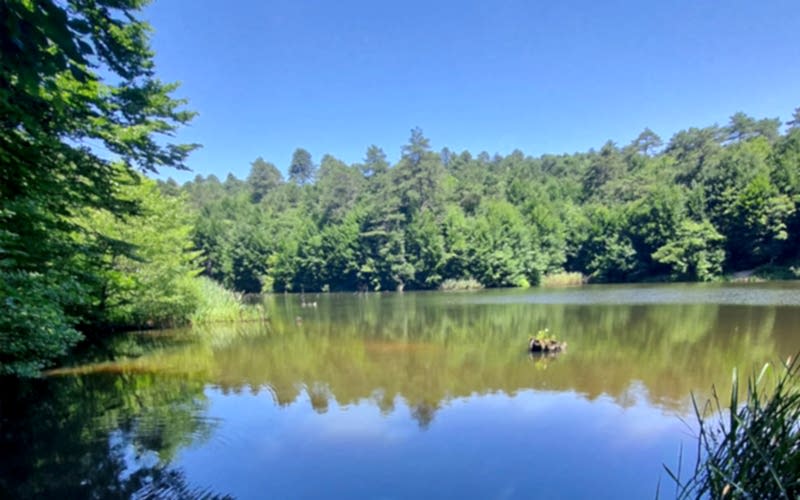 ERİKLİ ÇİFTE ŞELALE DOĞA YÜRÜYÜŞÜ