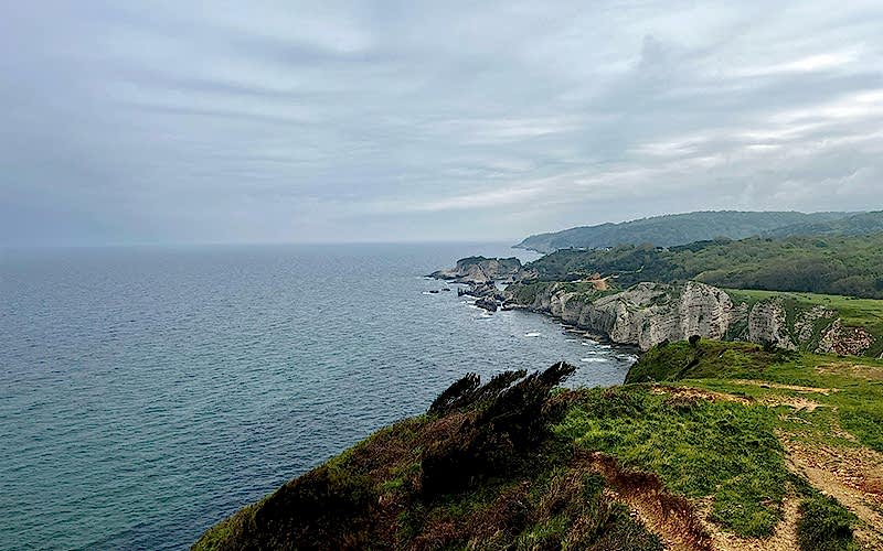ZAMBAK YOLU KİLİMLİ–KADIRGA KOYLARI DOĞA YÜRÜYÜŞÜ